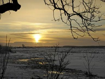 Sonnenuntergang Börmer Koog